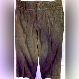 Size 16 Cato capris